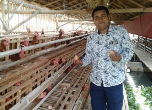 Awaludin, Bisnis Ternak Ayam Bertelur Awalnya Dari Iseng