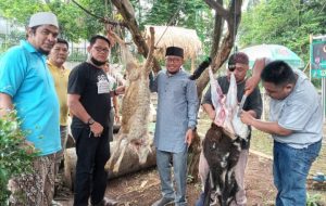 DKKB Berqurban dan Berbagi