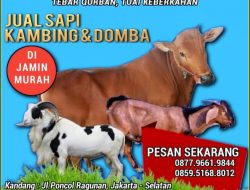 Mustika Qurban, Mengajak Semarak Idul Adha dan Sunah Qurban 10 Djulhijah 1444/28-29 Juni 2023