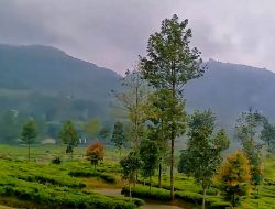 Selamat Kabupaten Bogor Mendapat Kunjungan Tertinggi Wisatawan se-Jawa Barat Tahun 2025