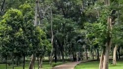 Dukung Program Hutan Kota di Setiap Kecamatan di Kabupaten Bogor, H. Fikri: Hutan Kota Banyak Manfaatnya