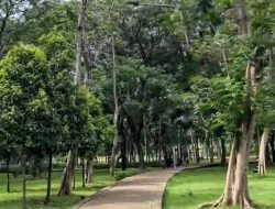 Dukung Program Hutan Kota di Setiap Kecamatan di Kabupaten Bogor, H. Fikri: Hutan Kota Banyak Manfaatnya